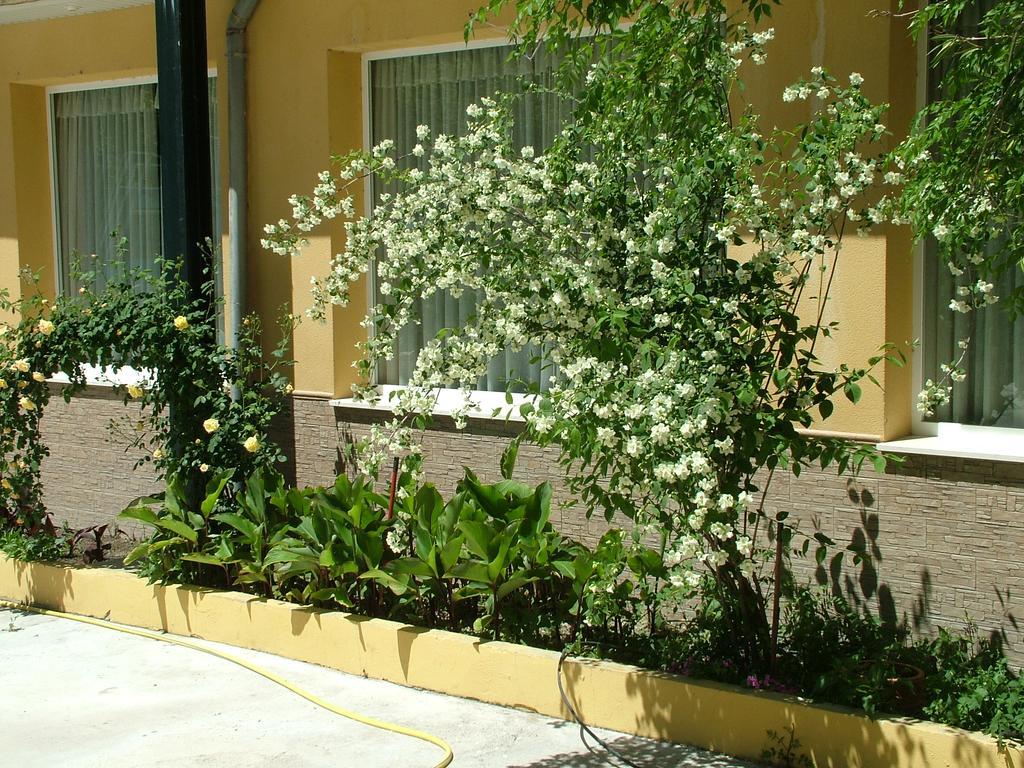 Hotel Rio Piscina Priego de Córdoba Buitenkant foto